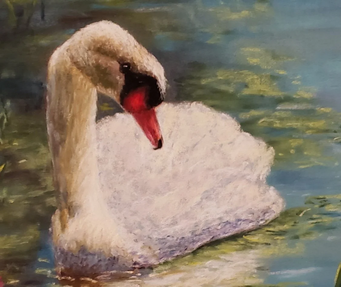 Peaceful Swan - Crop.jpg