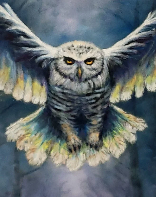 2026 02Feb9 White Owl - crop to Face.jpg
