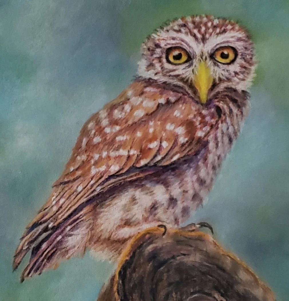 Owls Cozy Gnarls - Crop.jpg