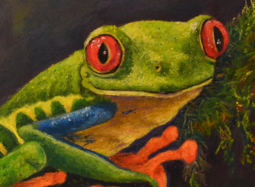 Tree Frog in Pastel - Crop.JPG