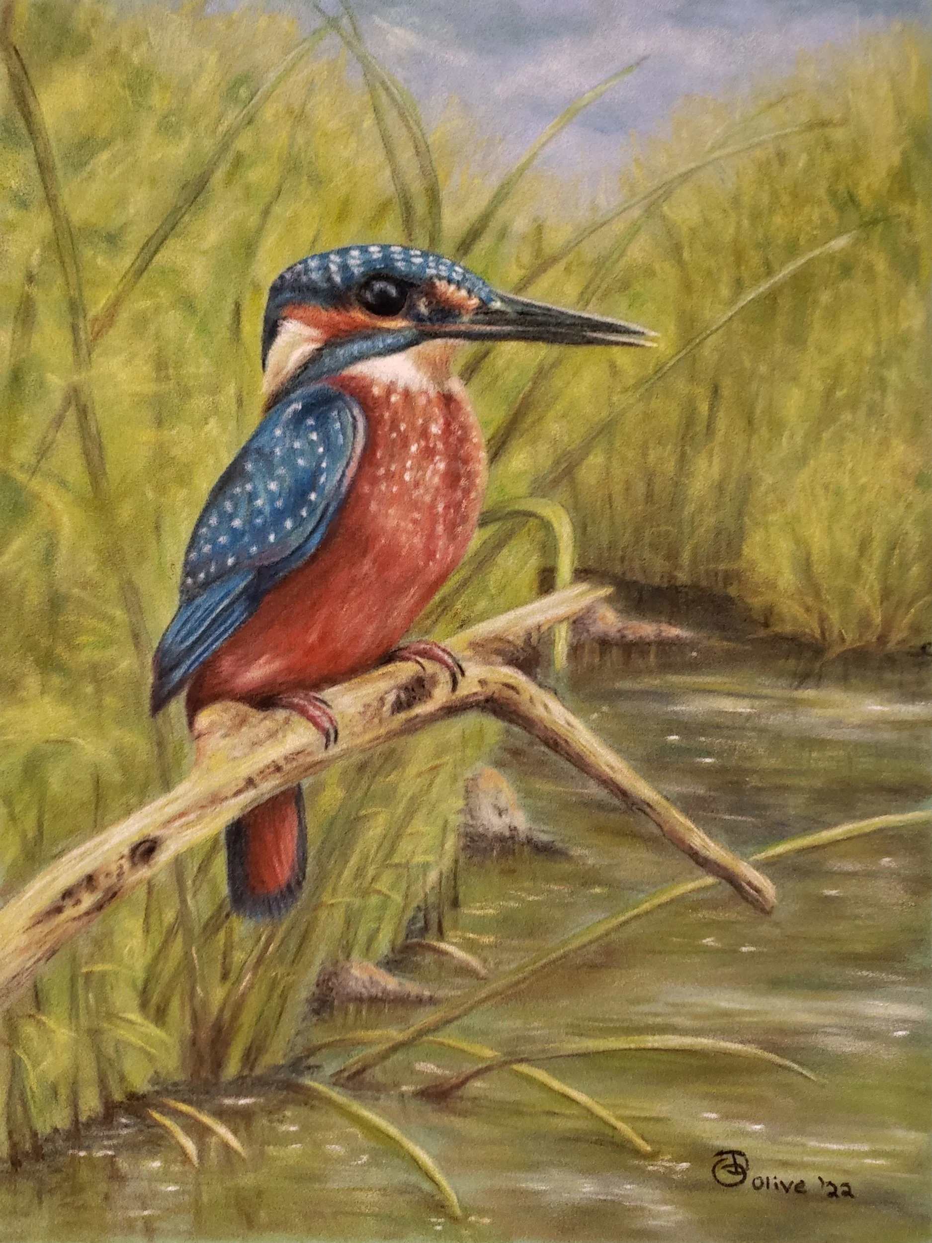 Kingfisher