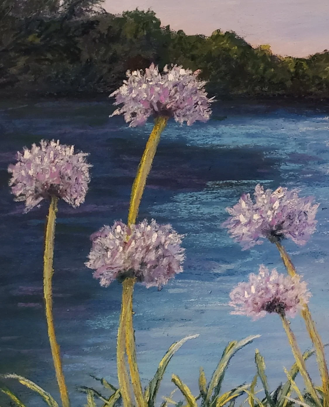 Apaganthus Lake - Crop.jpg