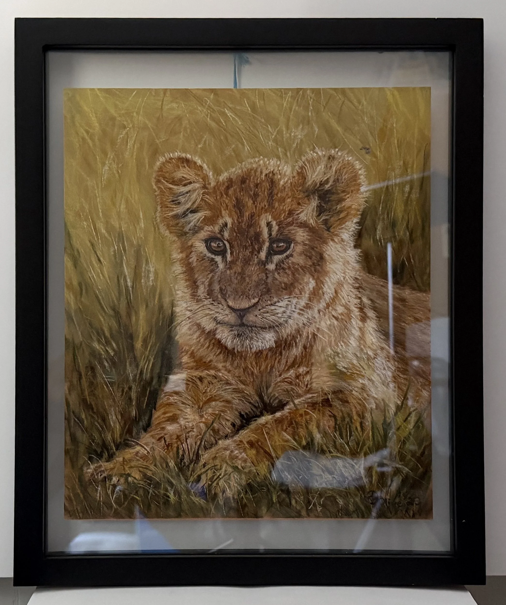 Golden Gaze - Framed 2500.jpg