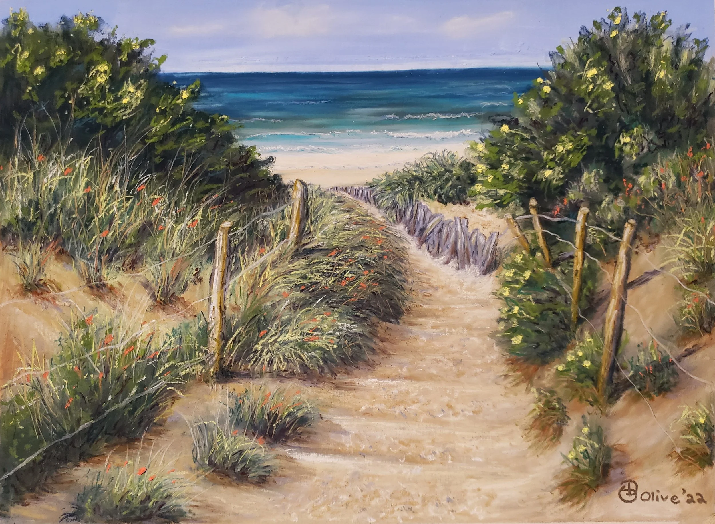Sand Dunes to the Beach
