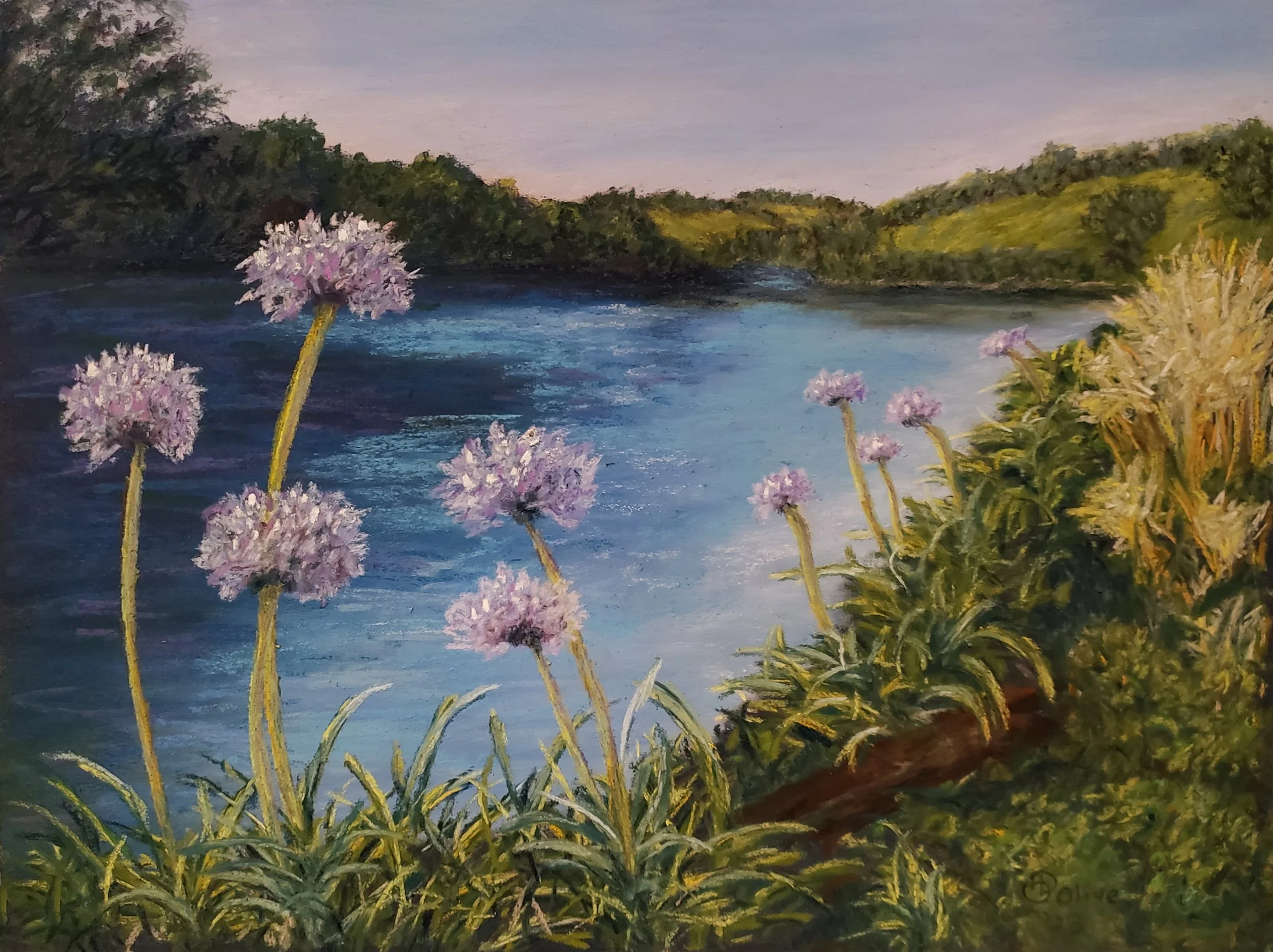Apaganthus Lake