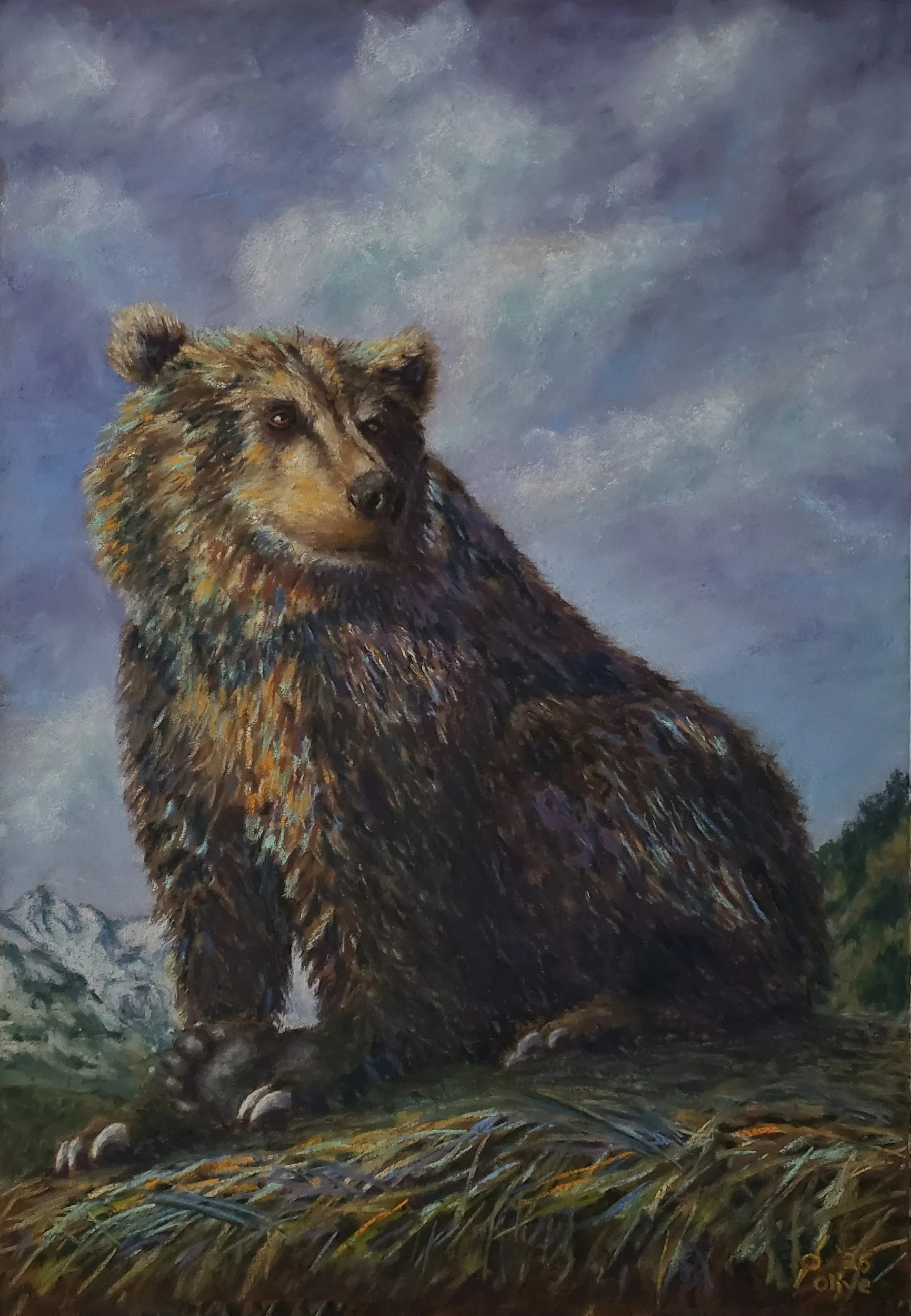 Grizzly’s Gentle Pause