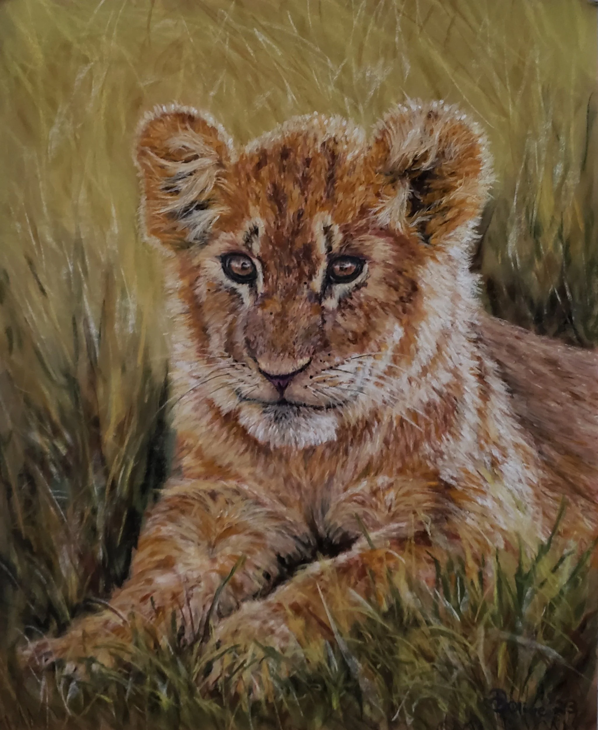Golden Gaze
