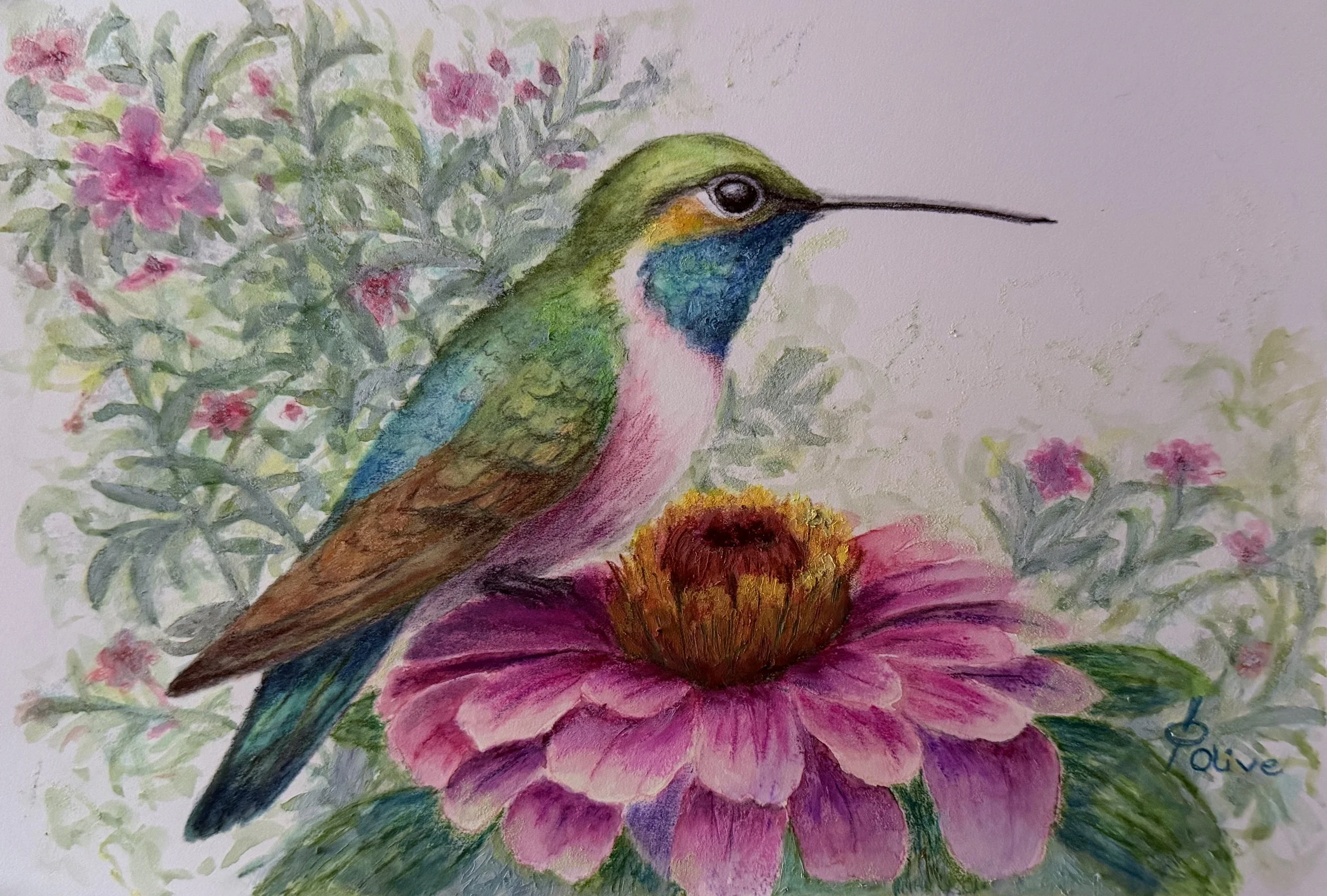 Blossom Visitor