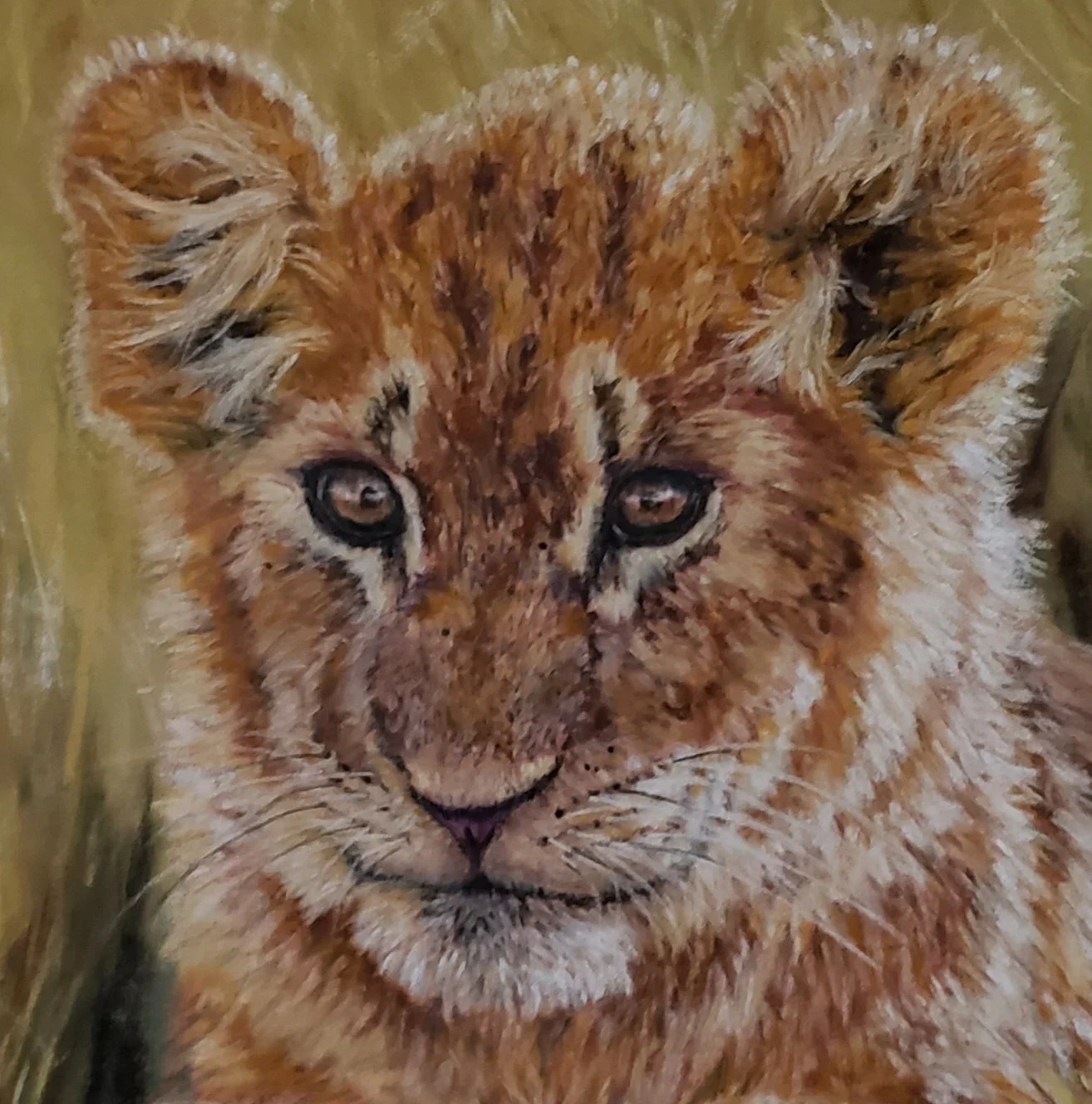 Golden Gaze - Crop.jpg