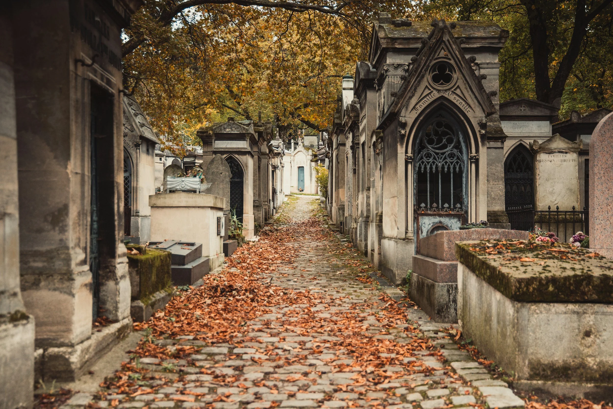 unsplash-image-xhGbbNYVrFc.jpg