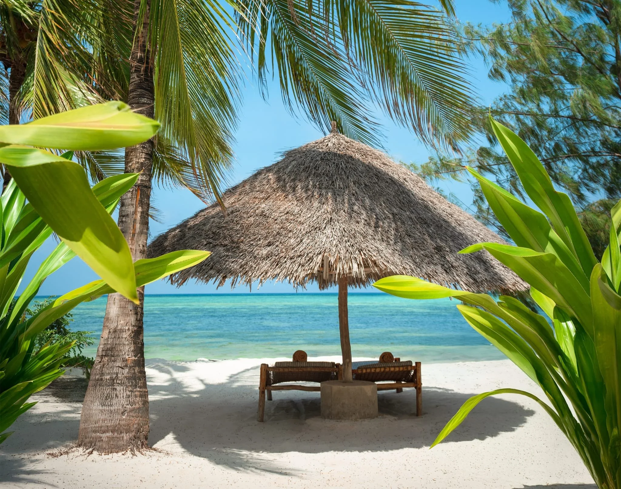 Strand mit Palmen, Hütte mit thatartem Dach und Sonnenliegen, Blick auf das Meer bei blauem Himmel