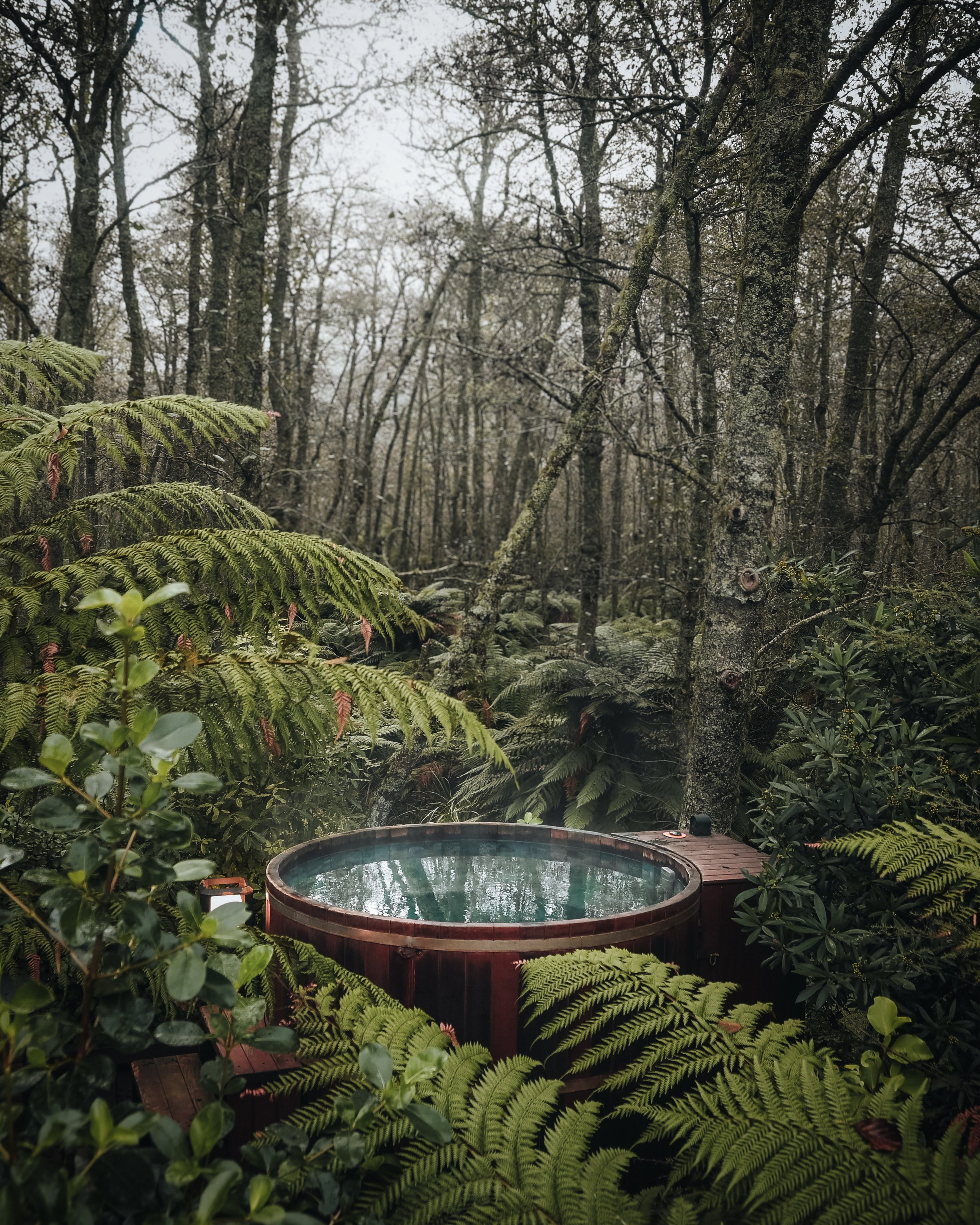 private forest spa Rotorua New Zealand
