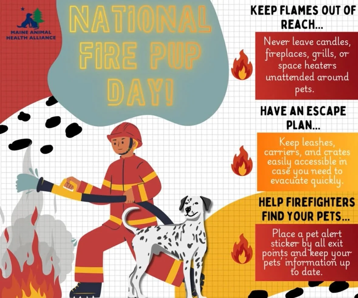 National Fire Pup Day