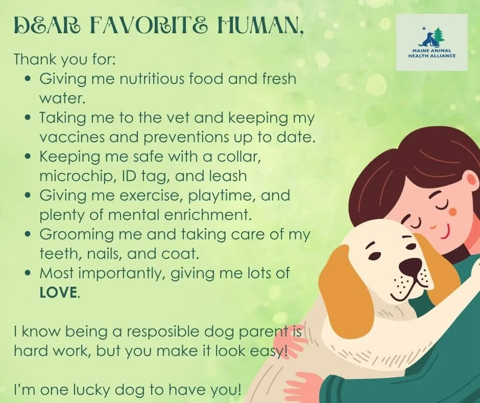 Responsible Dog Ownership Day