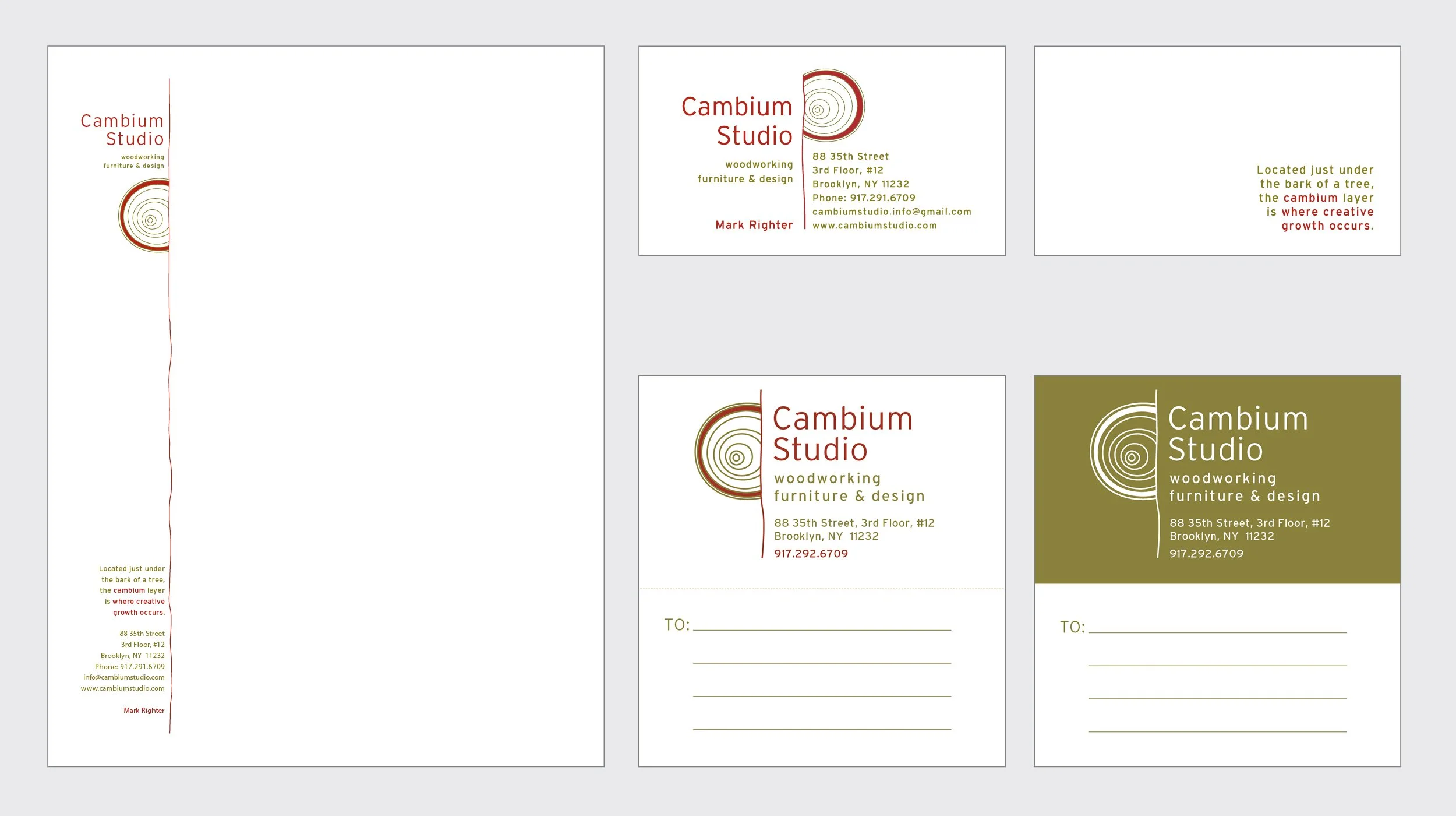 Cambium3.jpg