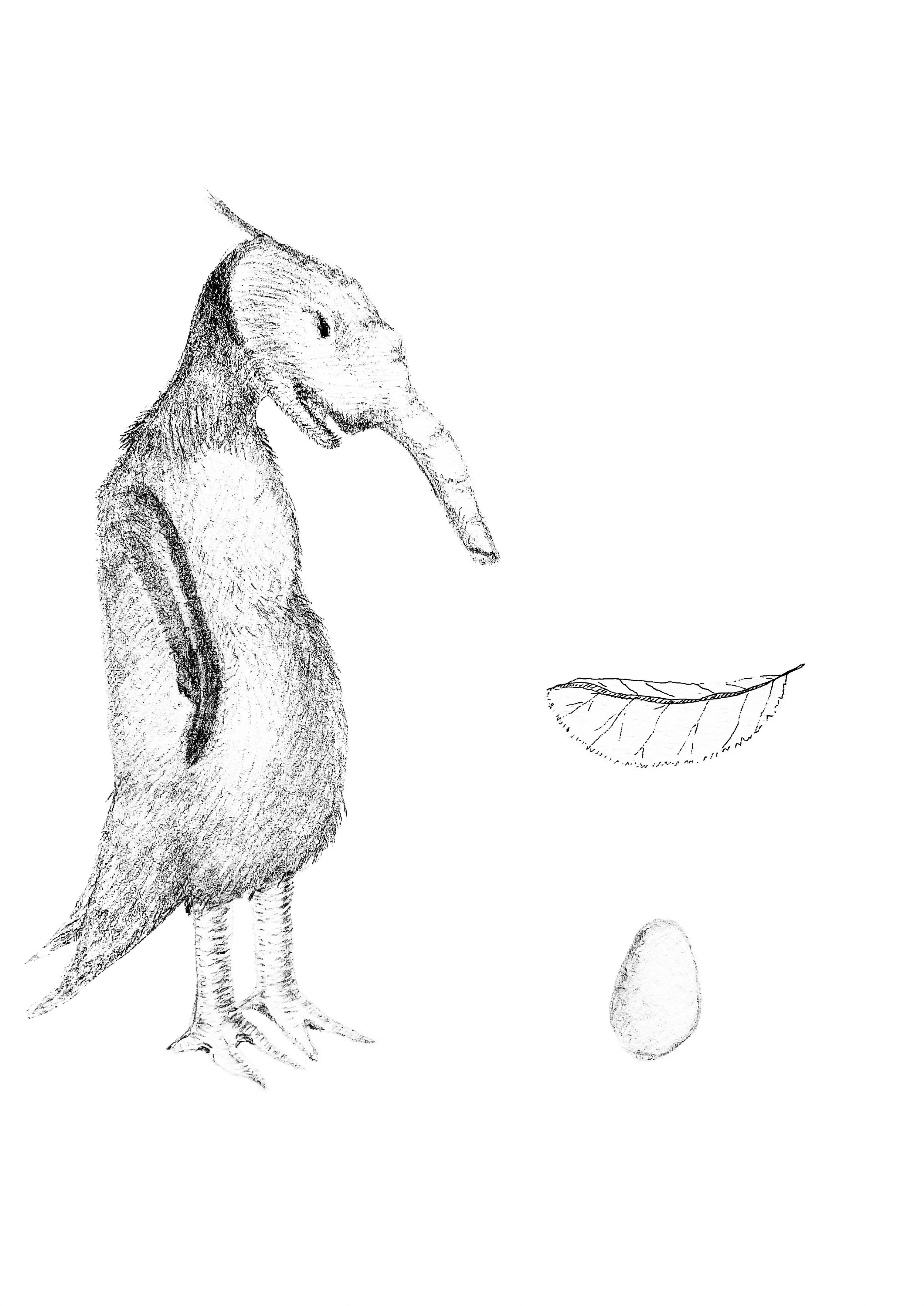 I was born from an egg kept under a leaf