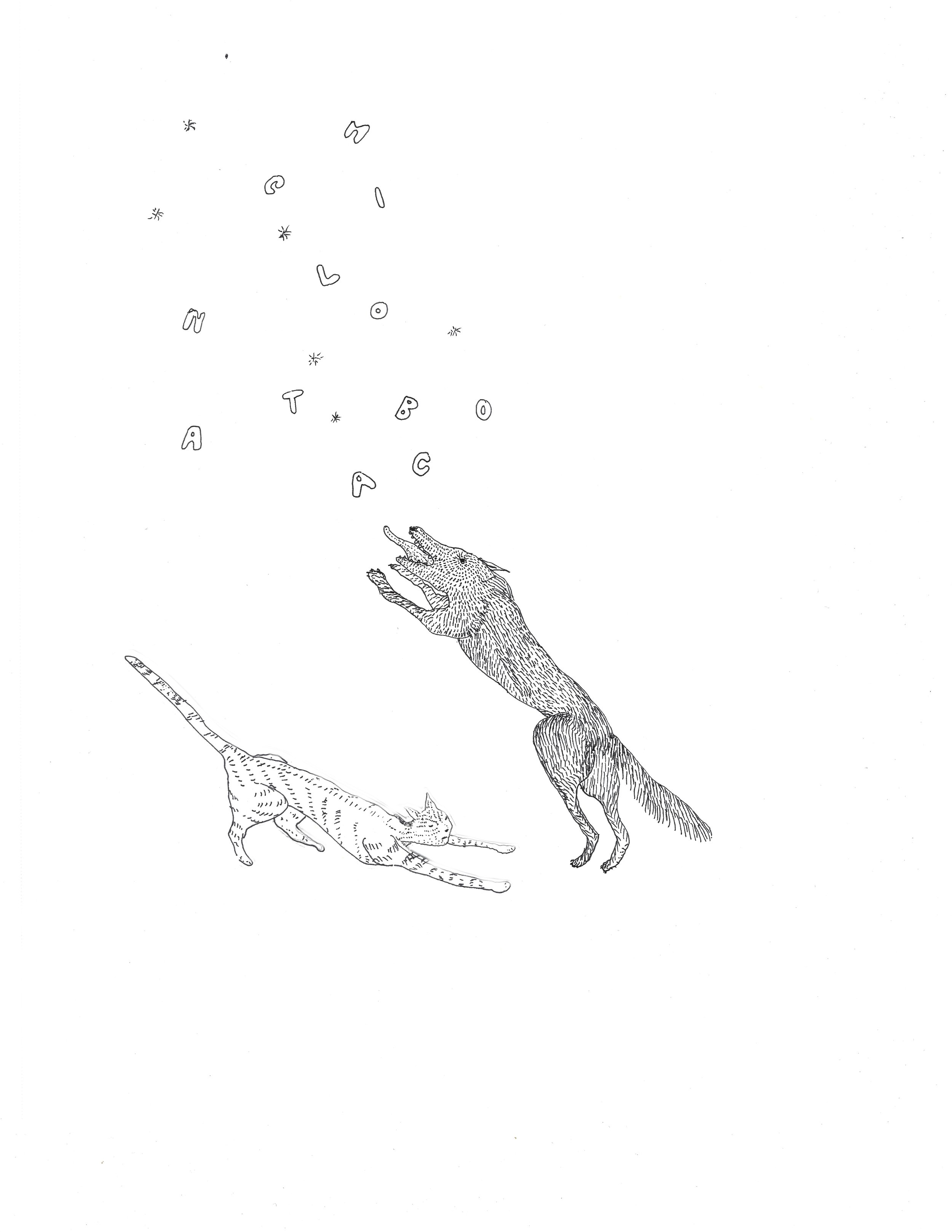 Cats and dogs p 2.jpg