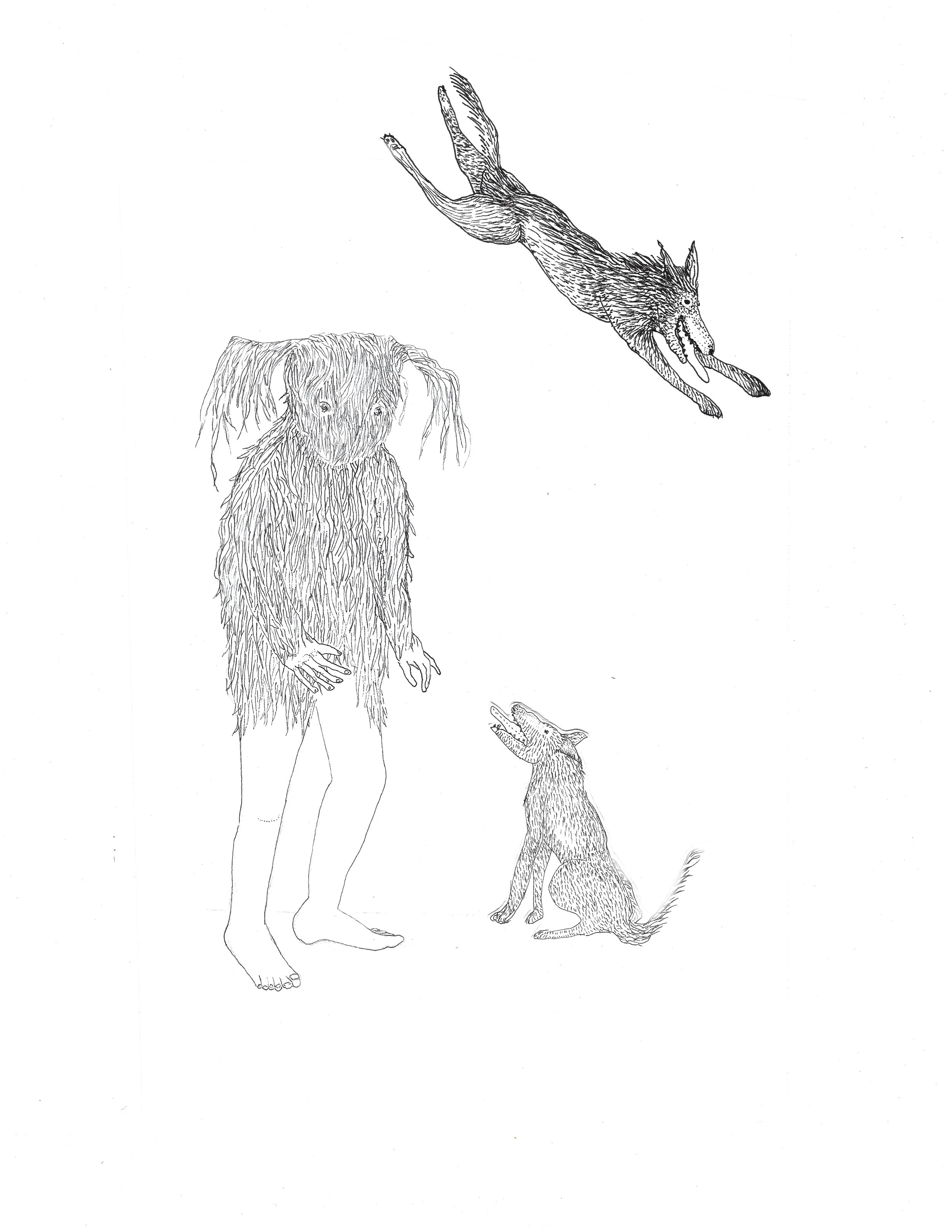And cats and dogs