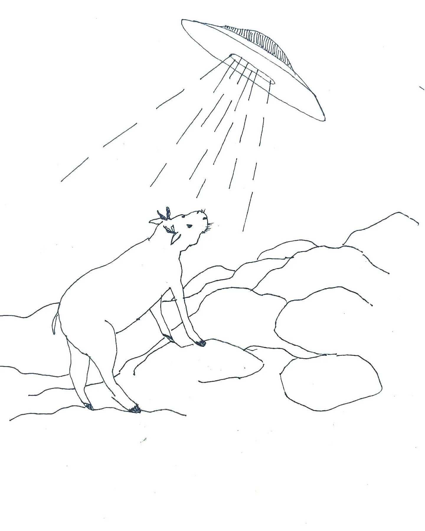 Illustrations