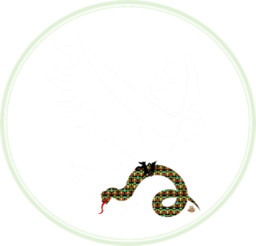 BMA-DWPrintLOGO1-22.png