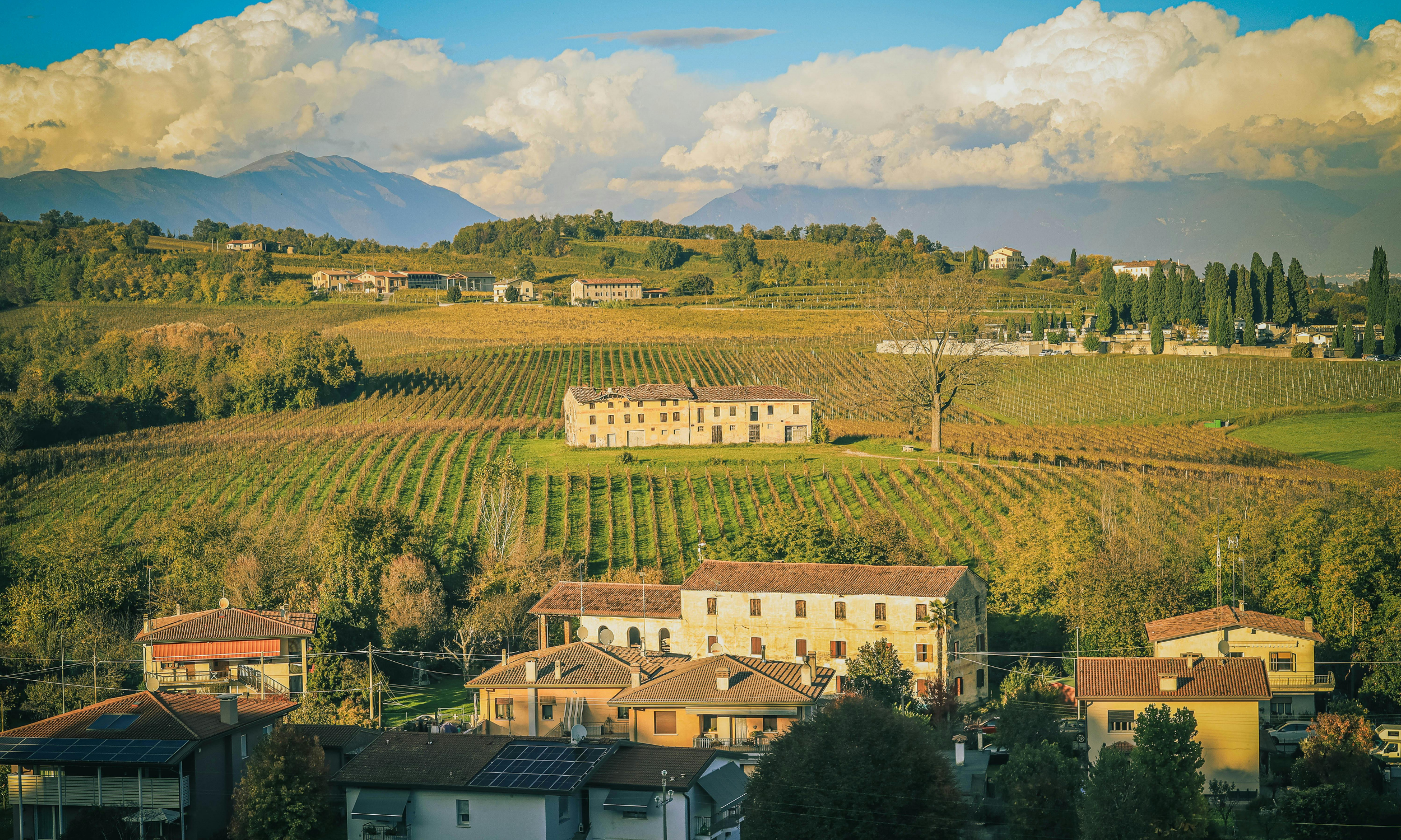 Hilly landscape with vineyards, houses, and mountains in the background under cloudy sky.