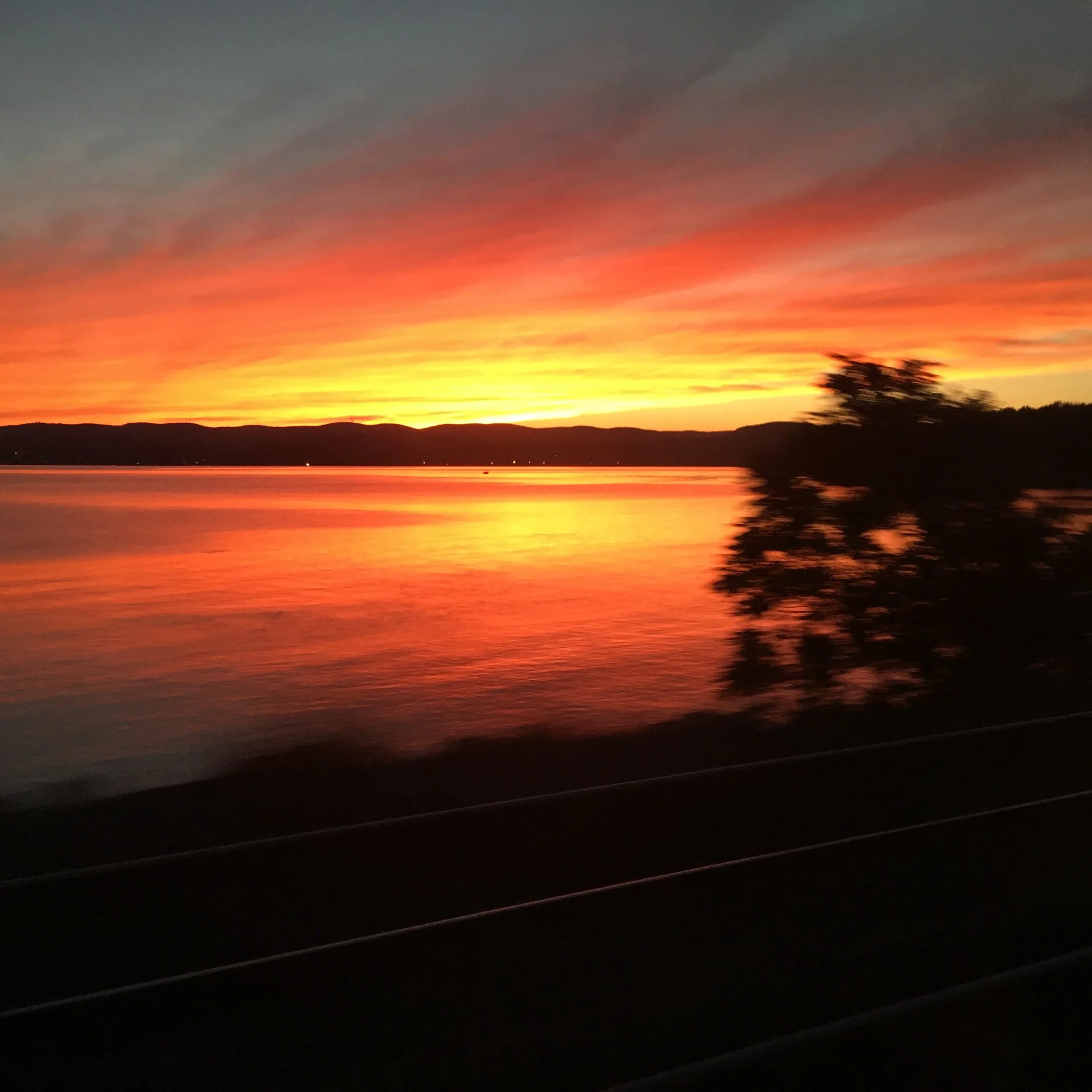 image00011.jpeg