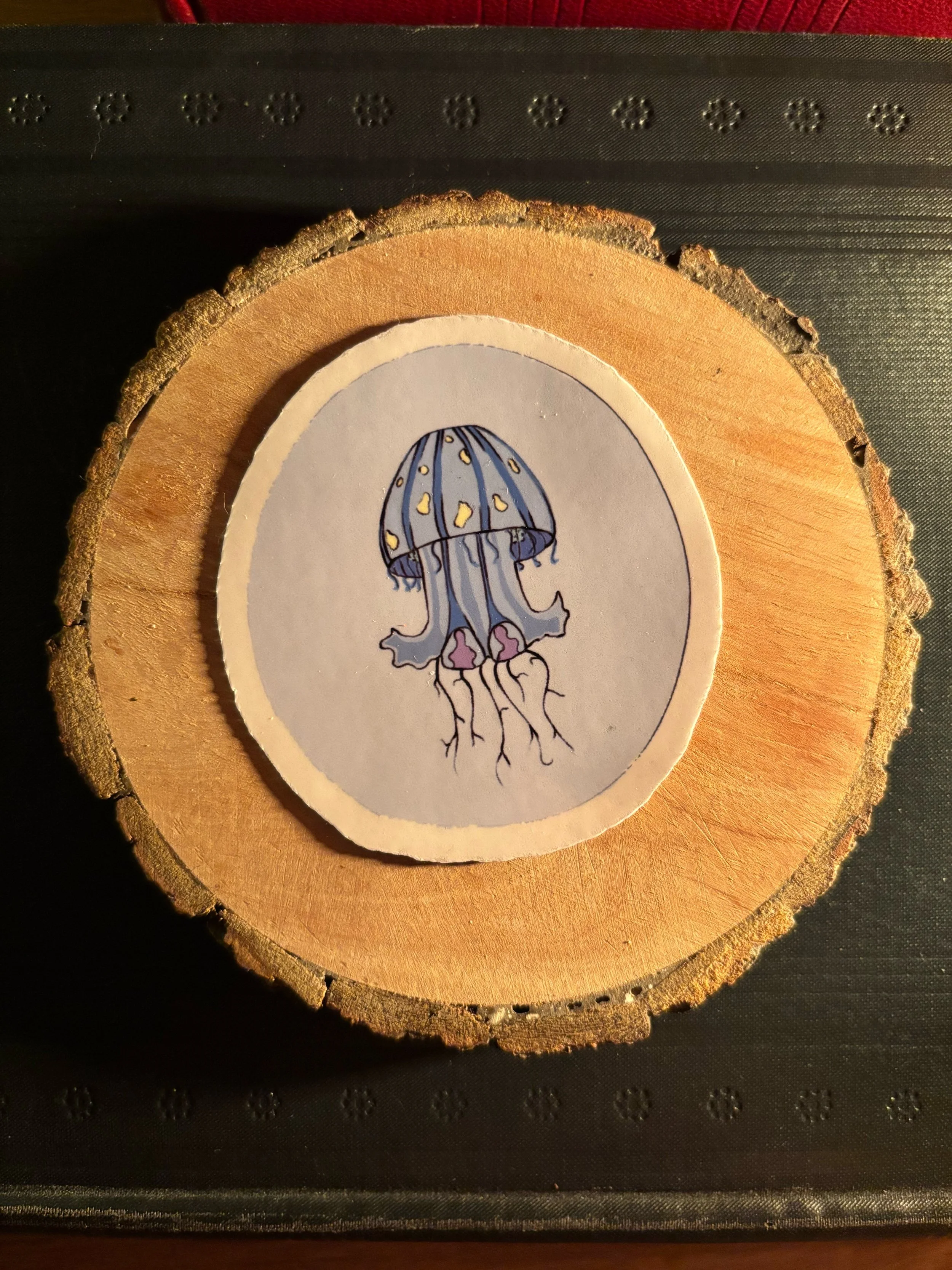 Moon Jelly