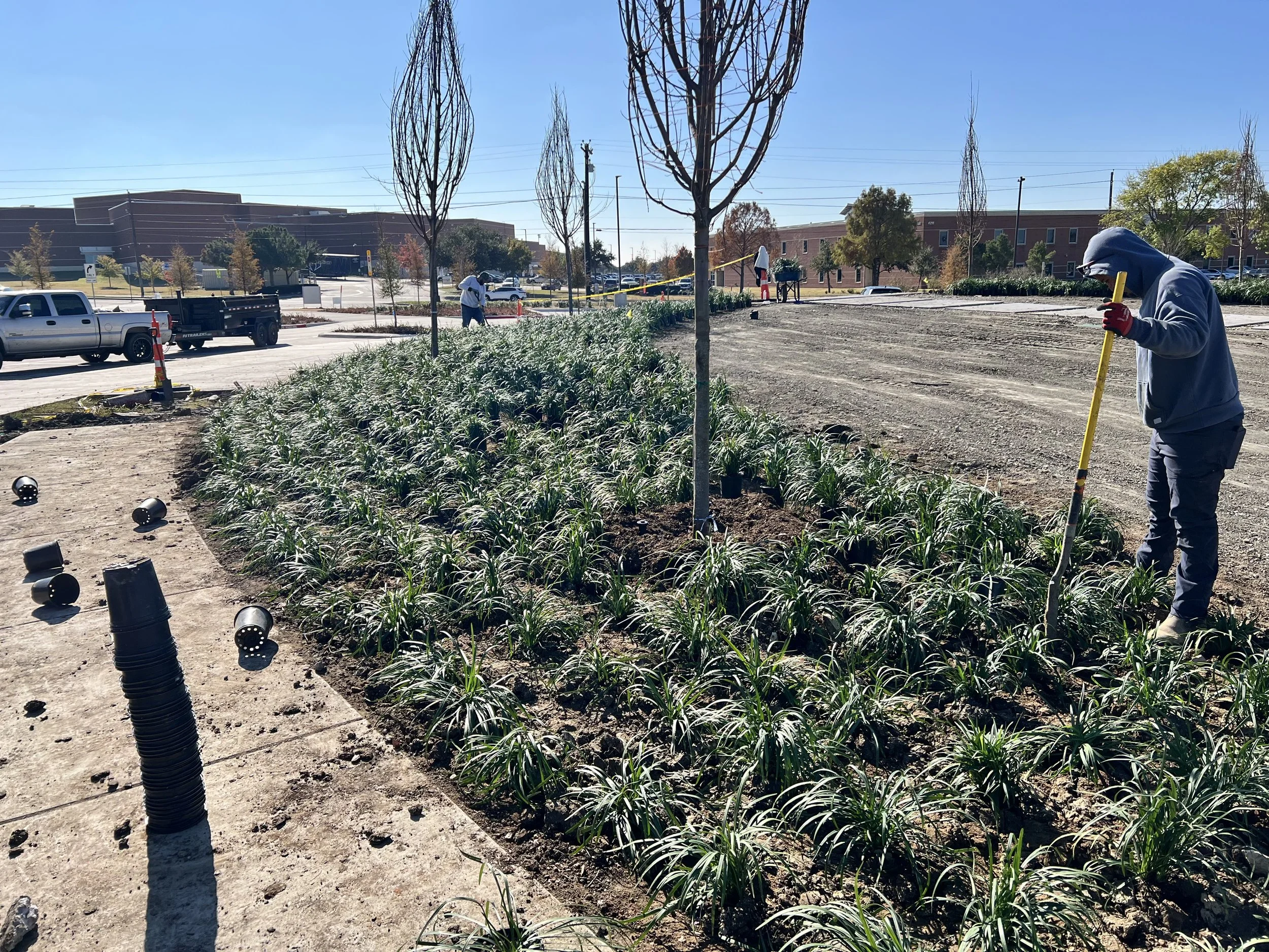 RIIS landscape installation in progress at a commercial site