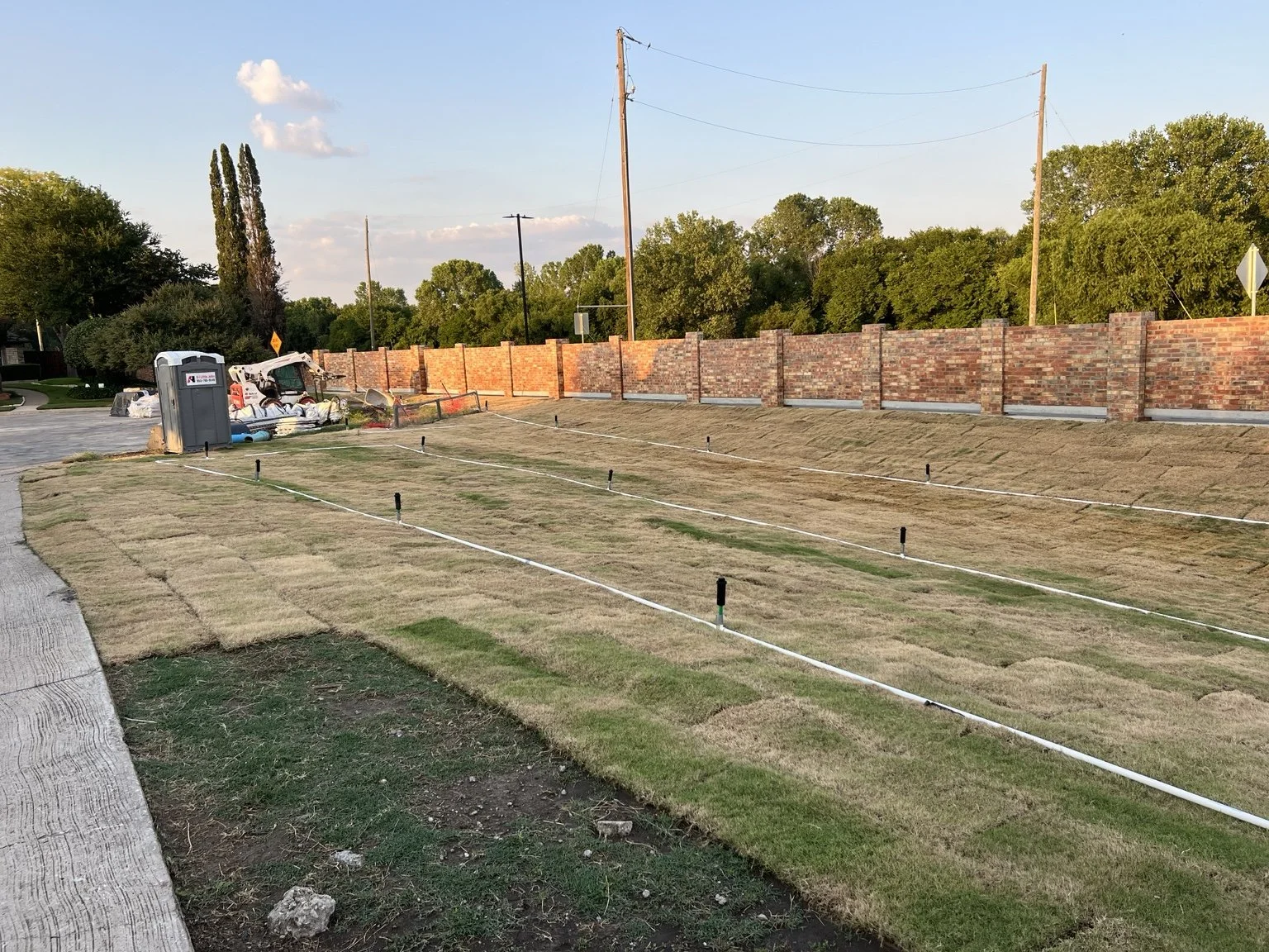 Sod installation and temporary irrigation — wide view along the brick screening wall.