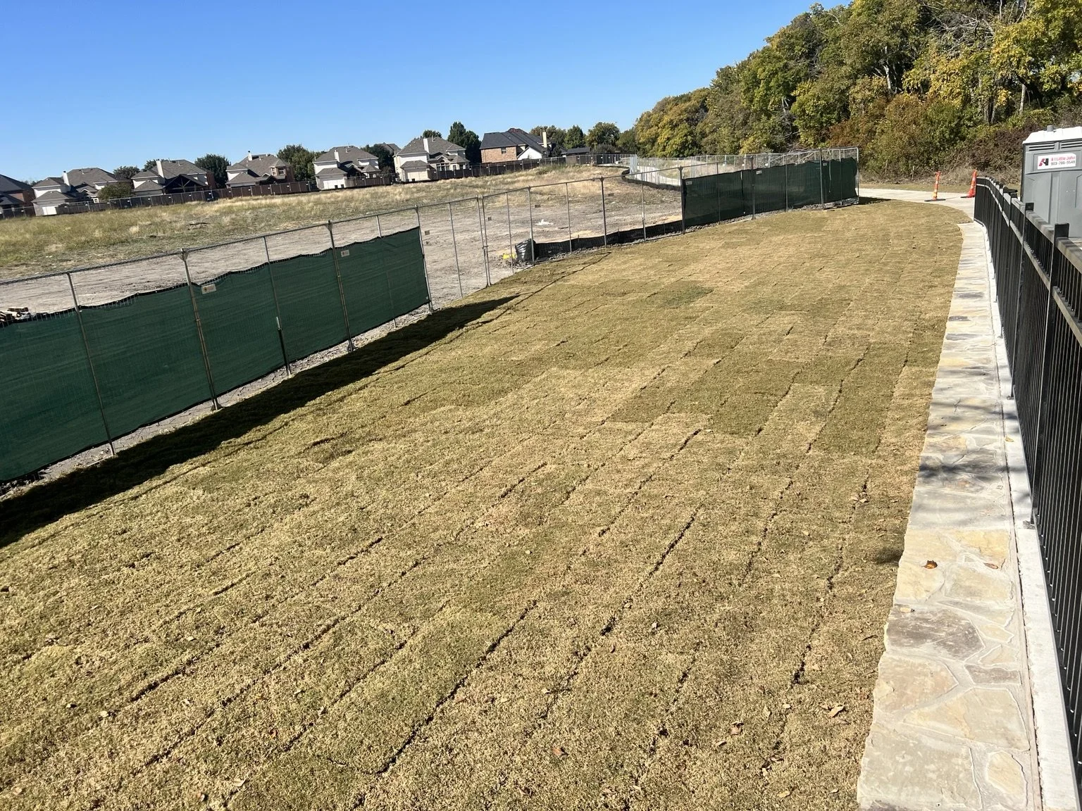 Trail restoration — new sod along the stone wall and fence.
