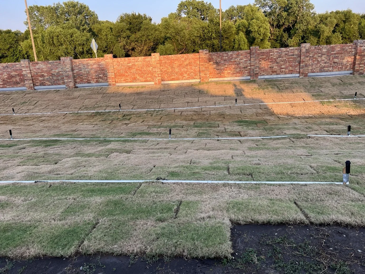 Sod installation and temporary irrigation — closer view of the restored frontage.