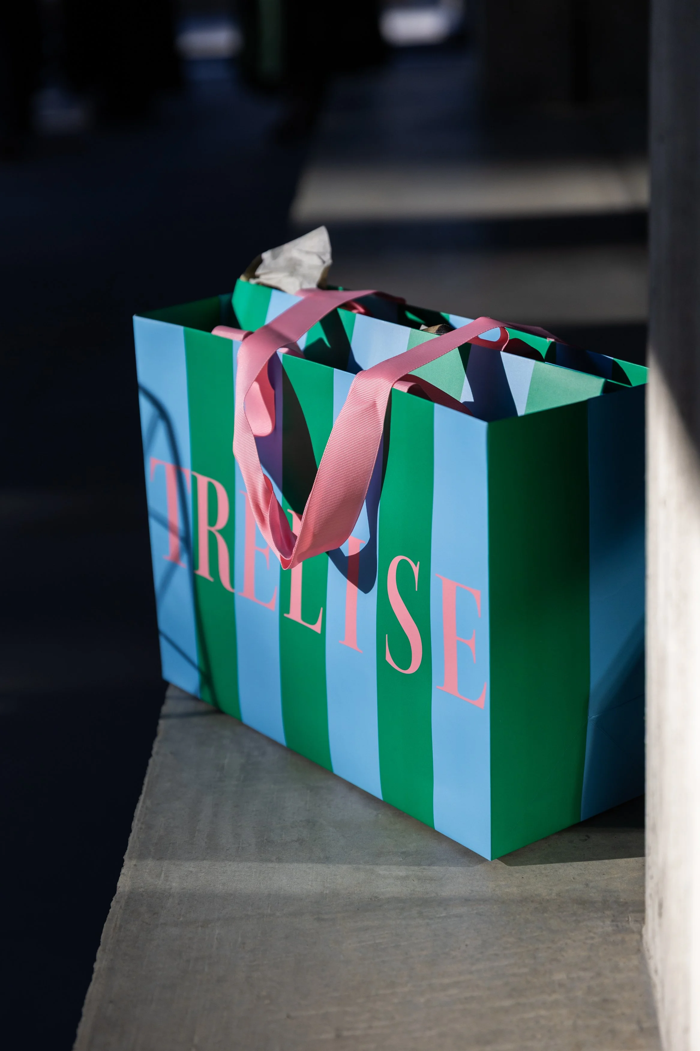 Trelise Cooper Goodie Bag photographed in sunlight