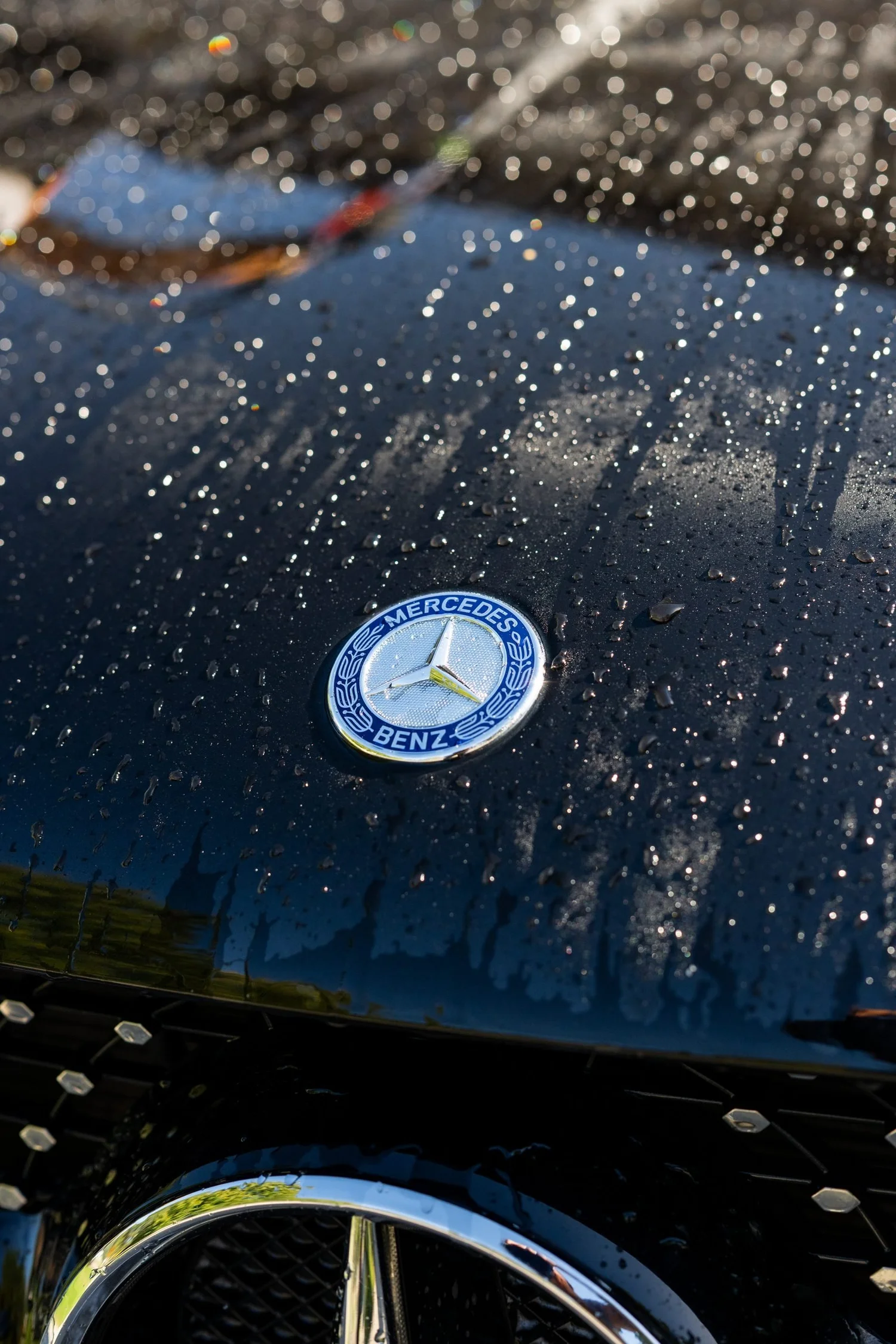 Water beads on a clean Mercedes hood emblem