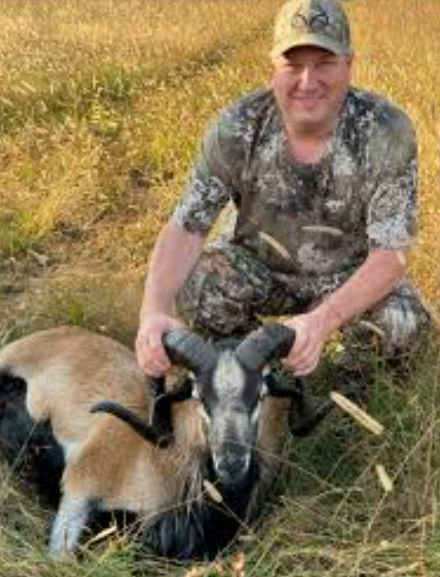 Ram hunts in sothern Missouri.png