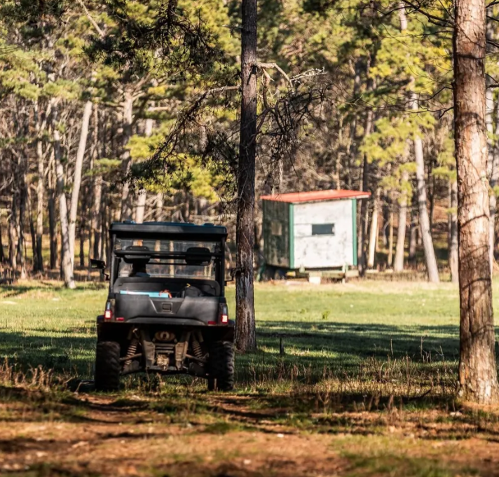 A black golf cart parked on a grassy area surrounded by trees with a small weathered shed in the background.