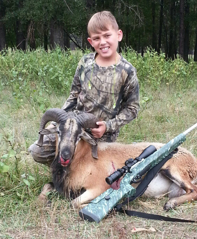 Trophy size ram hunts in southern missouri.png