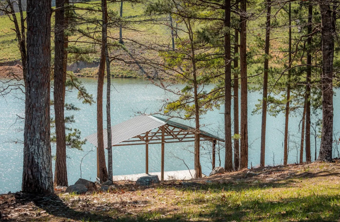 A lakeside view with a small wooden dock and a metal roof shelter among tall pine trees.