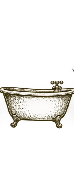 Vintage freestanding bathtub with clawfoot design.