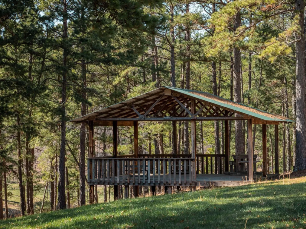 A rustic wooden pavilion in a forested area with tall pine trees and a grassy clearing.