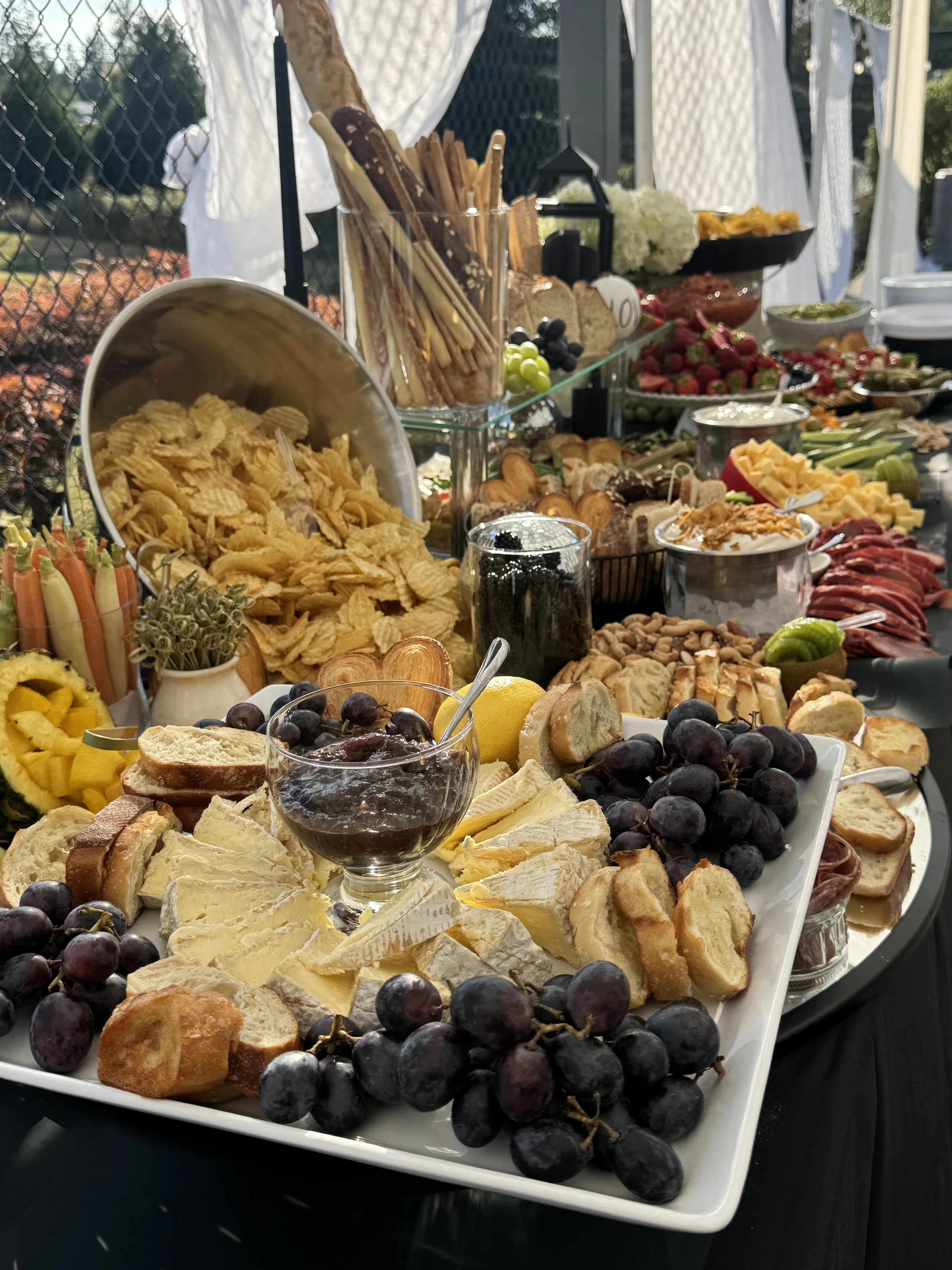 A cheese and fruit platter with grapes, crackers, bread, and a glass of red wine on a table, with a background of outdoor surroundings and a fence.