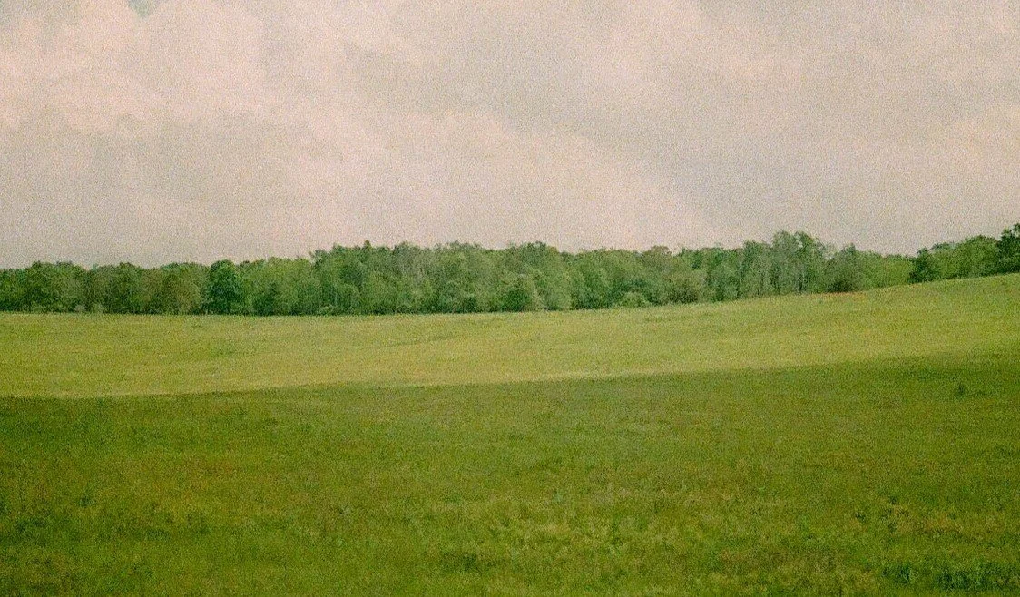 Bliss_Backdrop.jpg