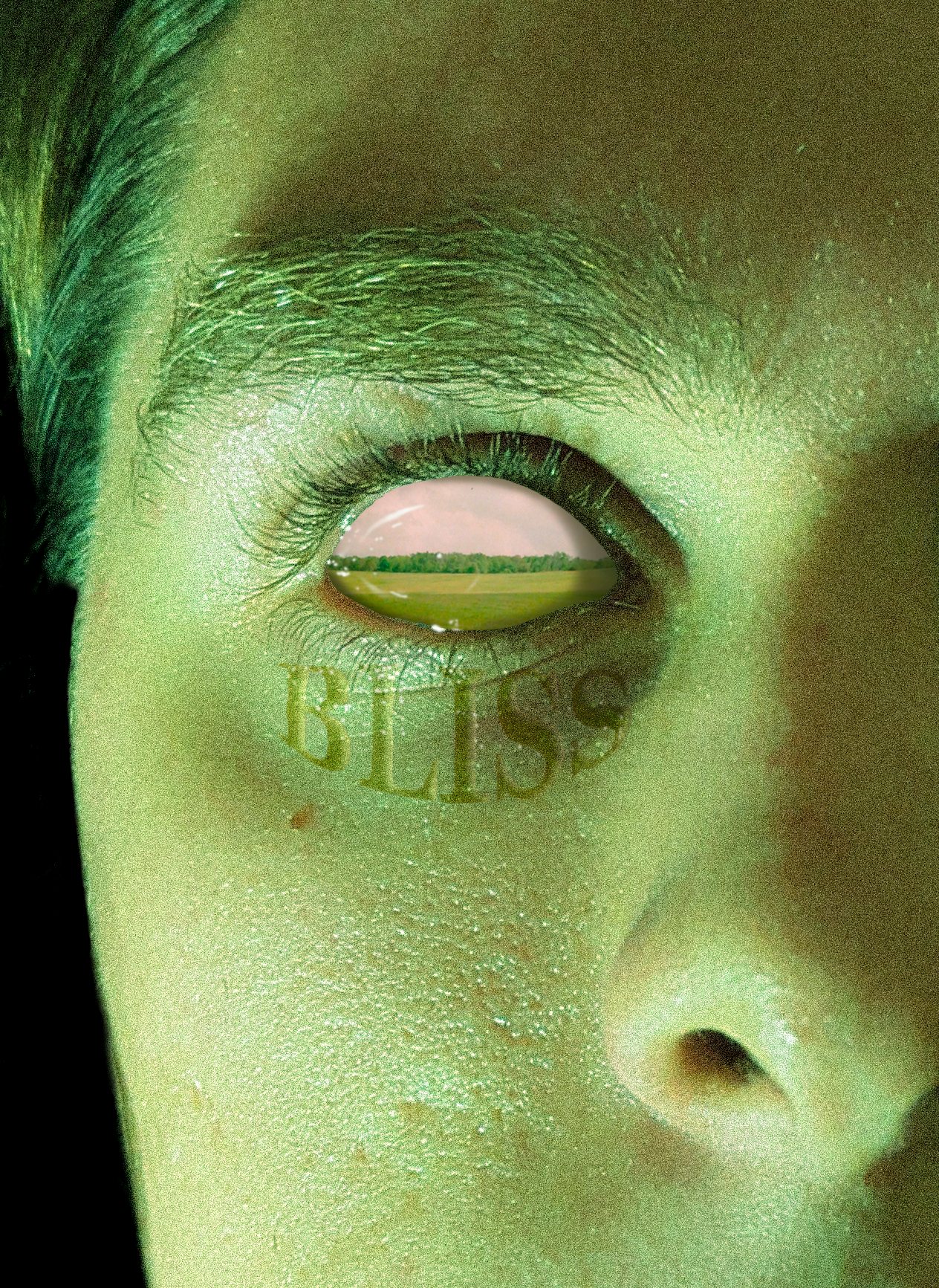 Bliss_Photo_Prototype.png