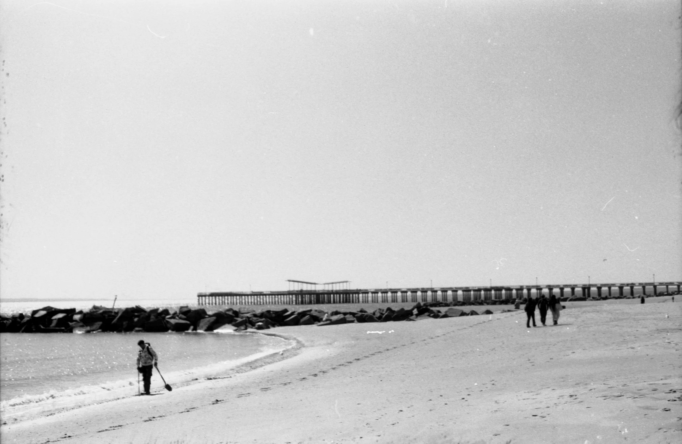 20250414_270.jpg