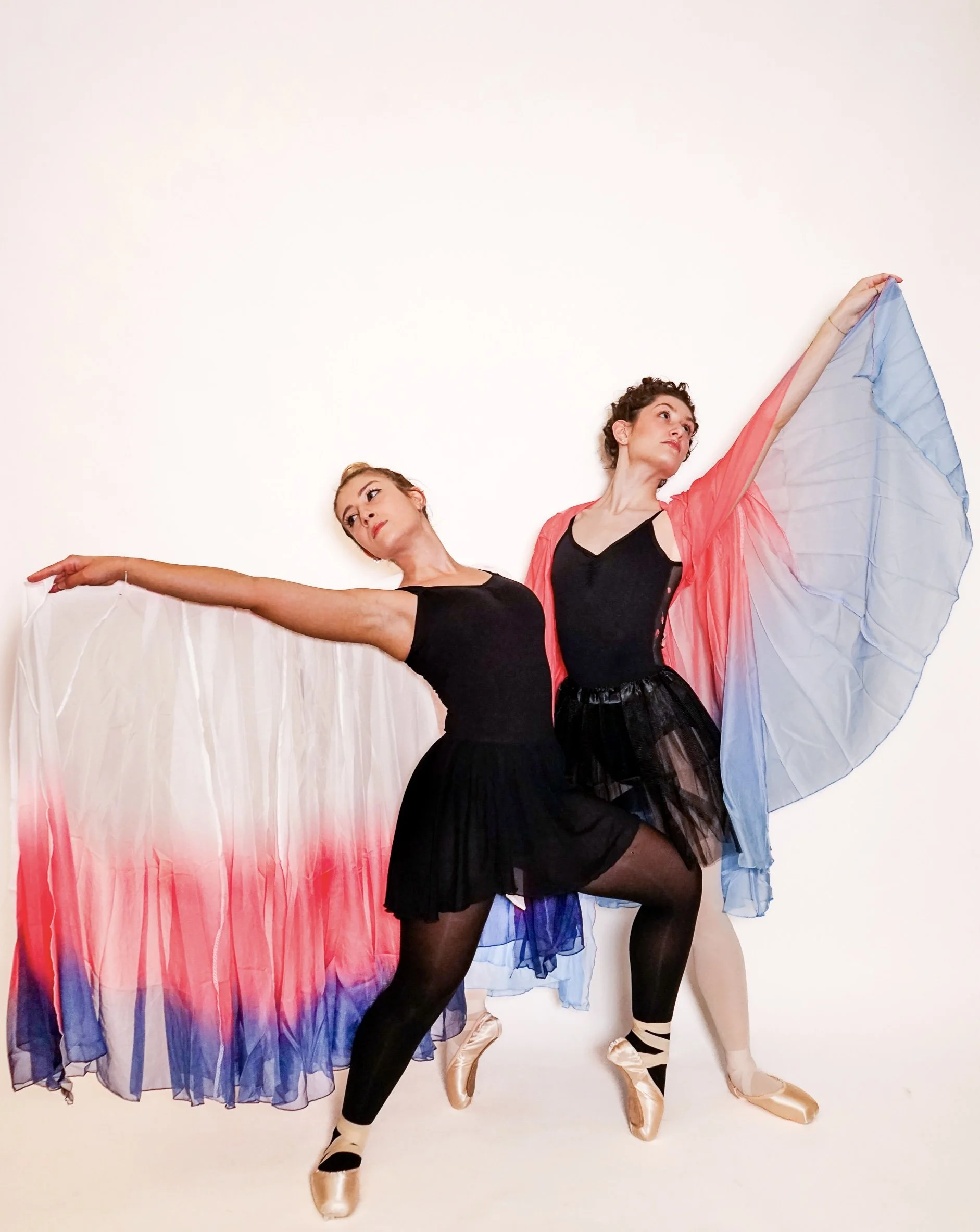 FINAL DANCE week 2-14.jpg