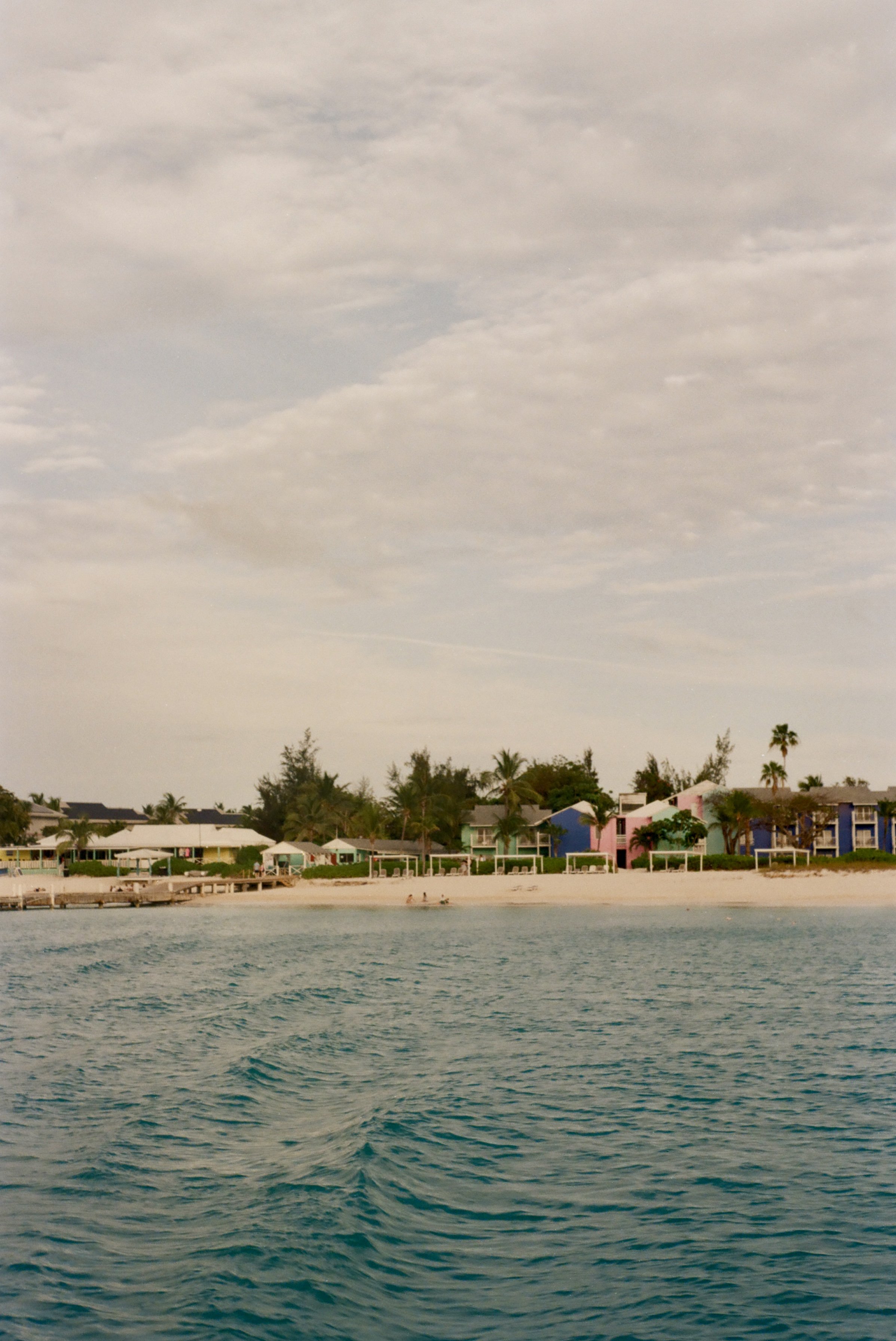 IMG_7295.jpg