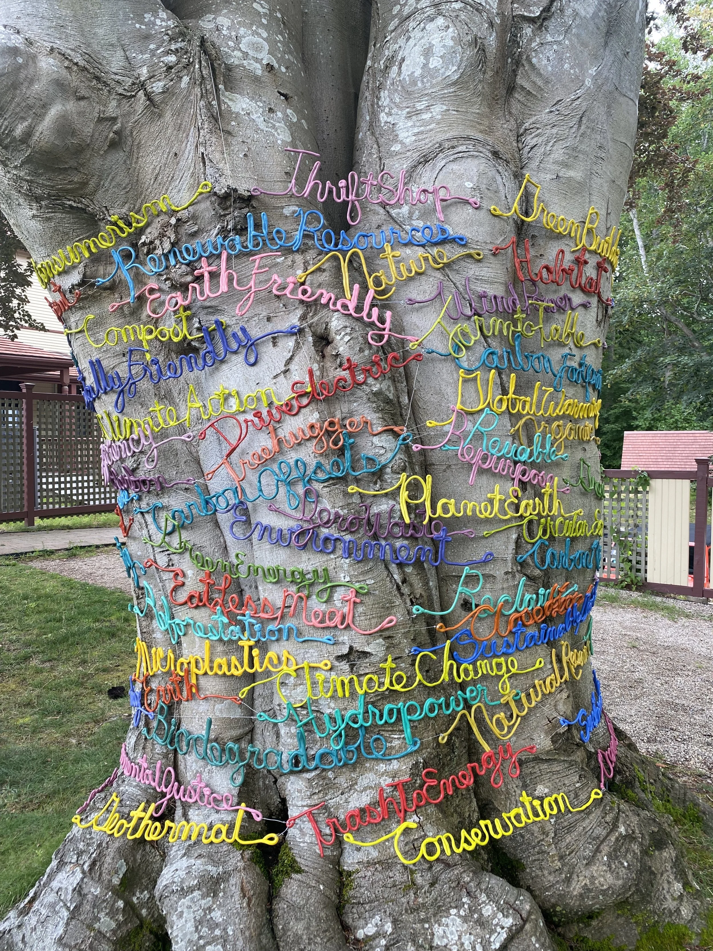 Bernard_Treehugger.JPG