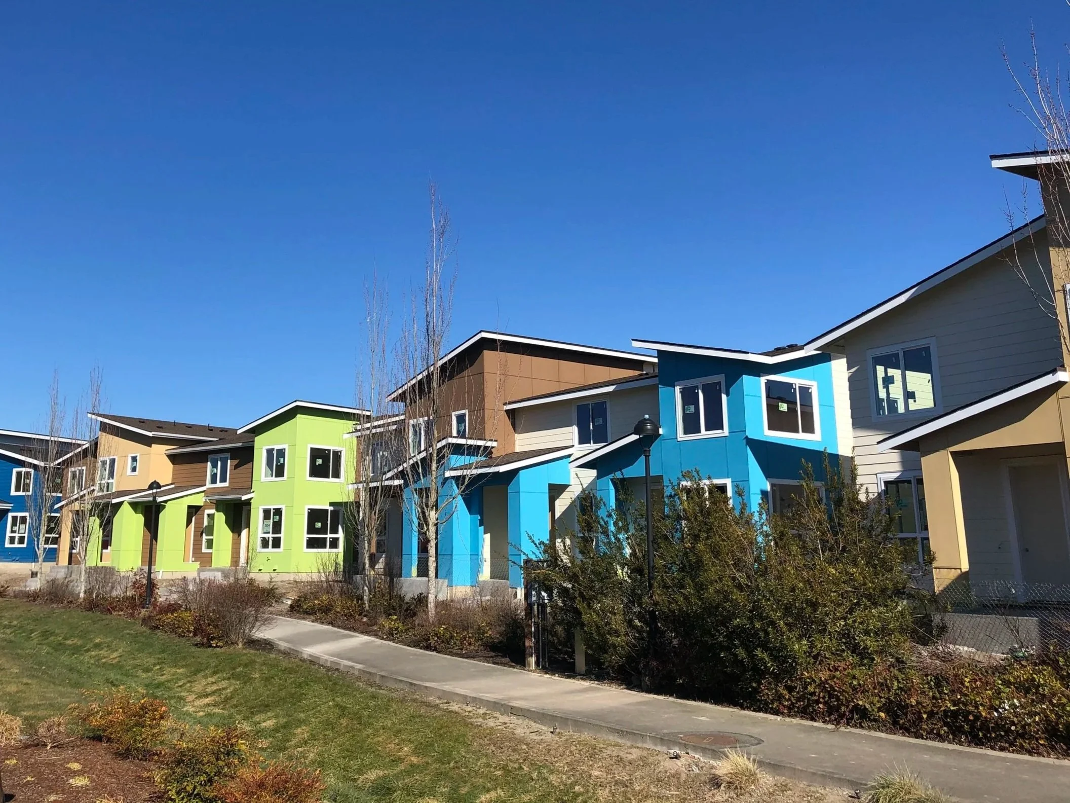Colorful modern houses with vibrant blue, green, brown, and yellow exteriors, set against a clear blue sky, with a landscaped front yard and leafless trees.