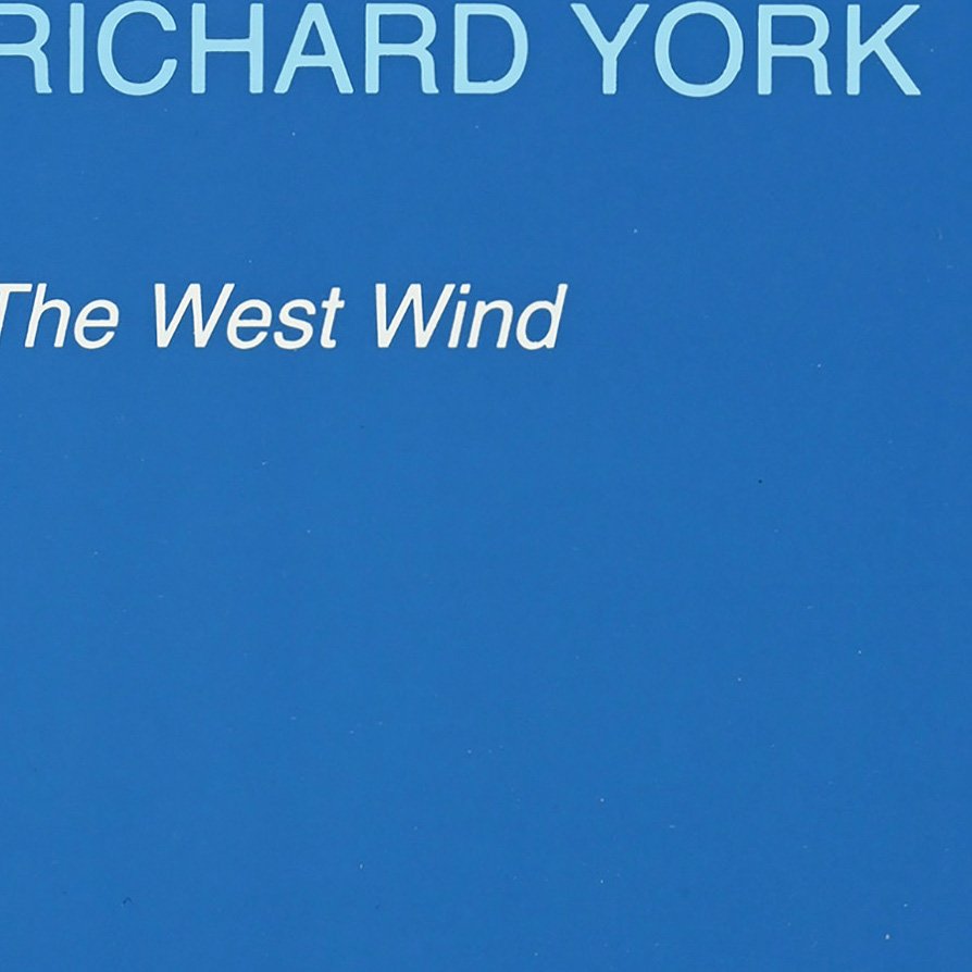York mini.jpg