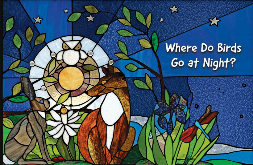 Where Do Birds Go at Night Book Cover