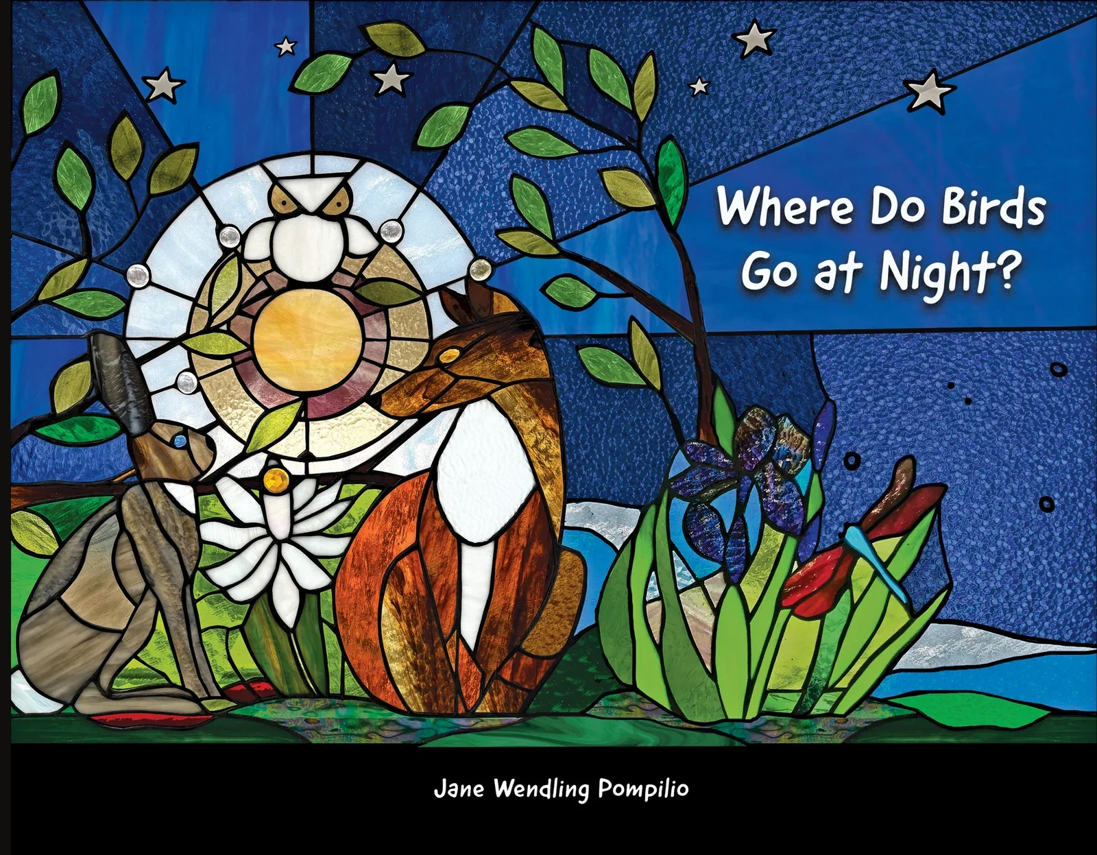 Where Do Birds Go At Night?